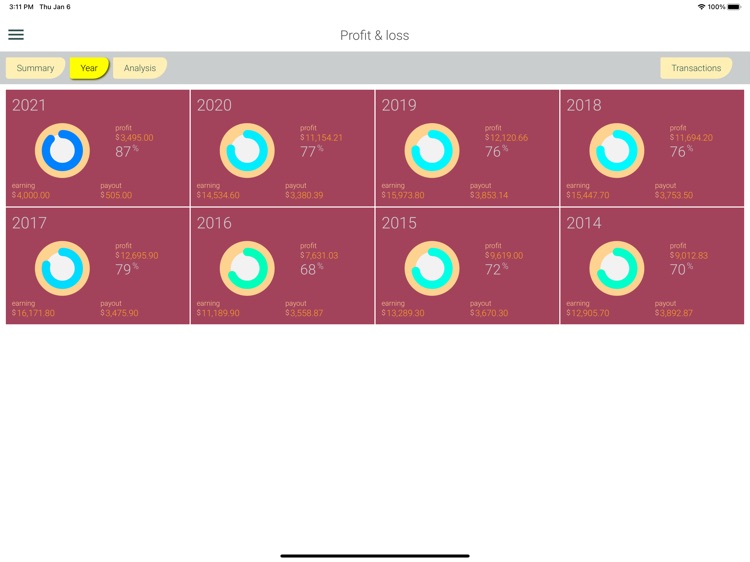 ciysys Profit & loss