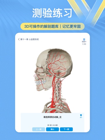 维萨里3D解剖-学生学习老师教学医生资源人体医学图谱大全のおすすめ画像4