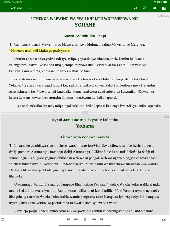 Screenshot #4 pour Chichewa Yao English Swahili