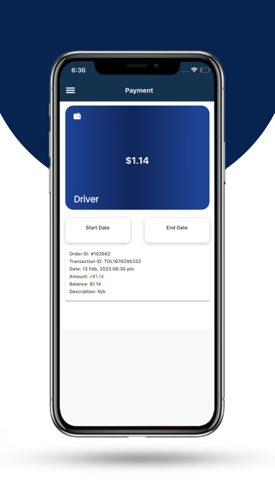 TOlindo Driver Screenshot