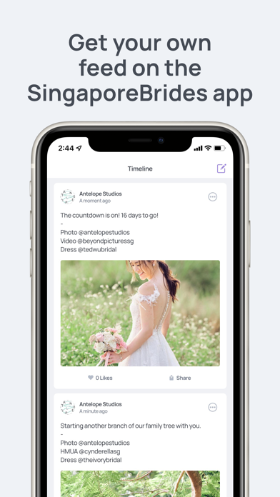 SingaporeBrides Vendor Screenshot