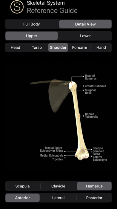 Screenshot #3 pour Skeleton Study Guide