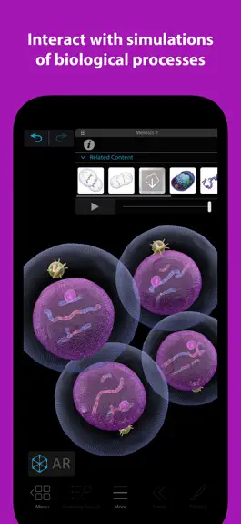 Game screenshot Visible Biology apk