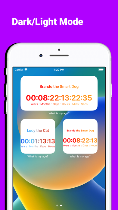 Age Countdown Widgets Screenshot