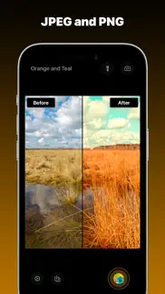 orange and teal, preset camera iphone screenshot 4