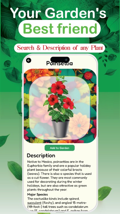 Plant Identifier: Detect Leaf screenshot-4