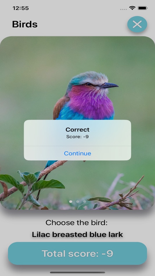 #5. Cities & Animals (iOS) 由: Dmitrii Frolov