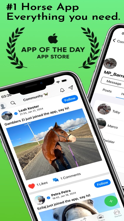 HorseCare: Horse Riding App