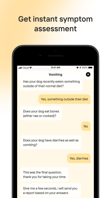 Dosty – Dog & Cat Pet Care