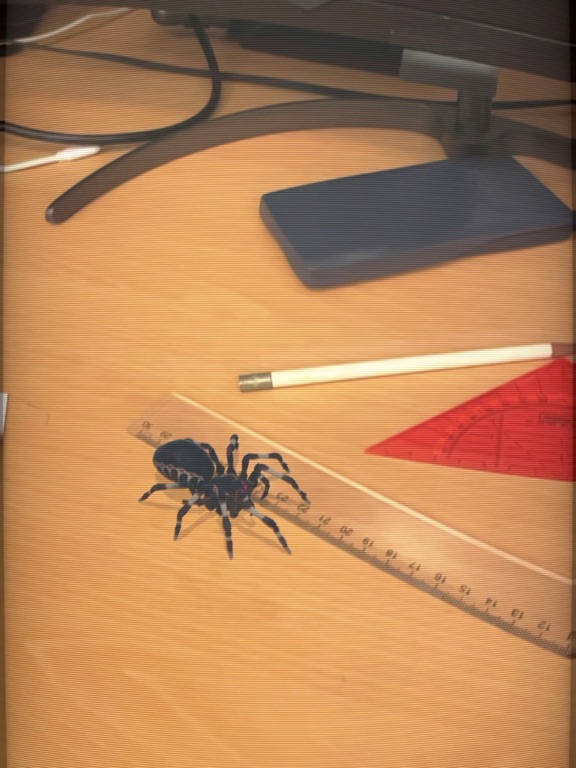 Screenshot #2 for AR Spiders