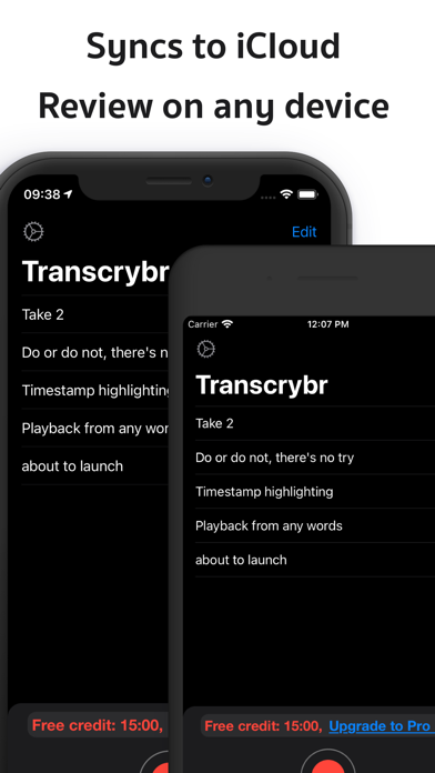 Live Transcribe: Transcrybr Screenshot