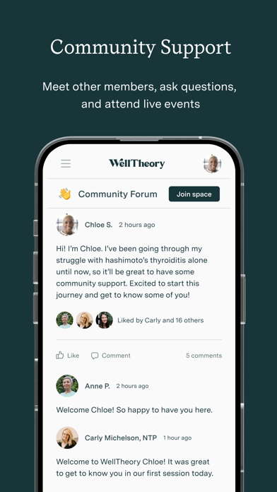 WellTheory Screenshot