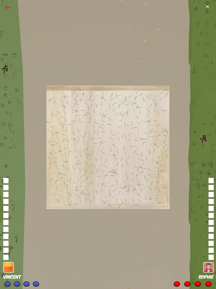 Le palet - le jeu vidéo