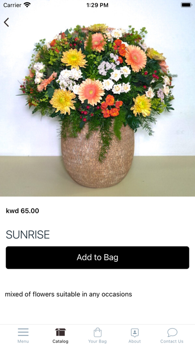 Shadow Flowers Online Screenshot