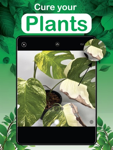 Plant Identifier: Detect Leafのおすすめ画像7