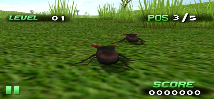Insect Race