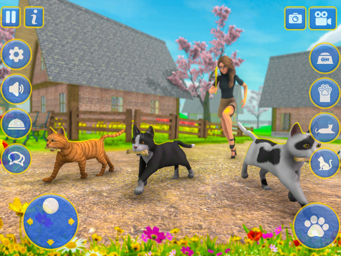 Virtual Pet Cat Kitten Games