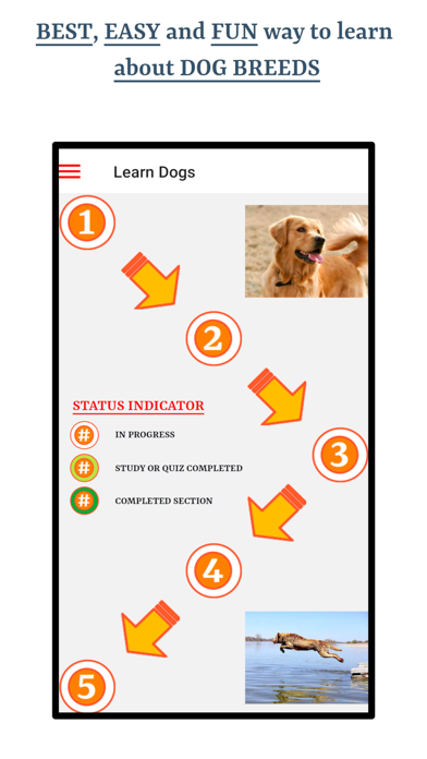 Learn About Dog Breeds Screenshot