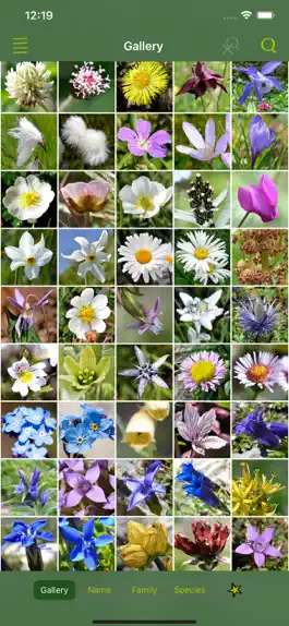 Game screenshot AlpineFlower Finder – Europe apk