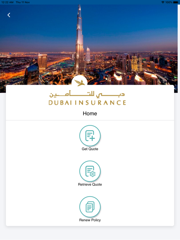 Dubai Insurance screenshot 2
