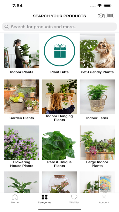 Bloombox Club Screenshot