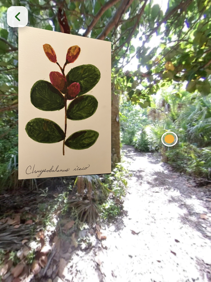 Trekking Through Time