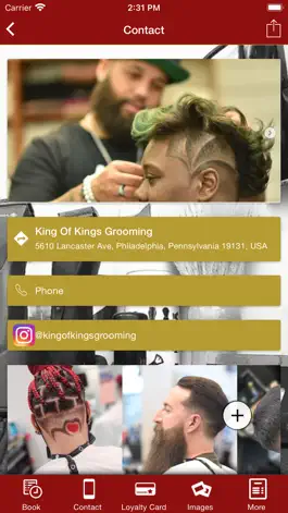 Game screenshot King of Kings Grooming apk