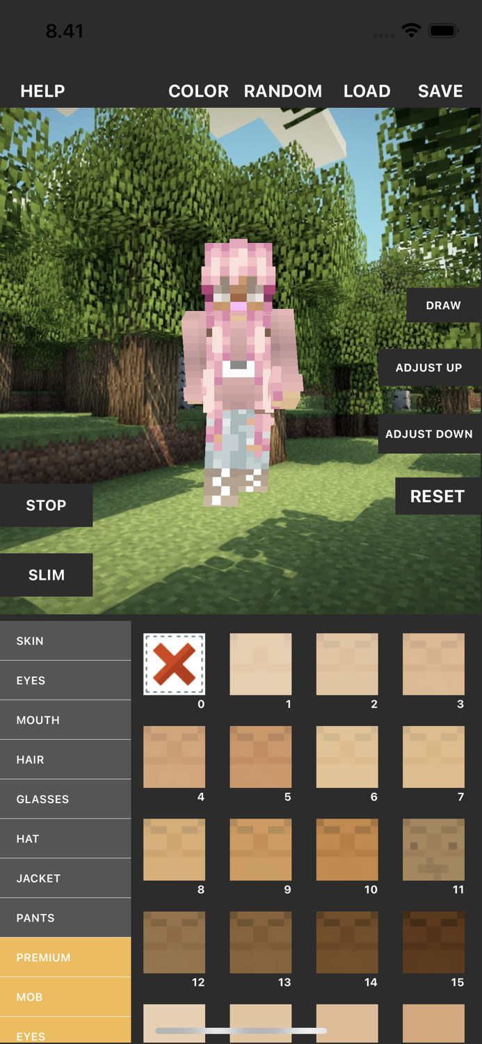 Custom Skin Creator