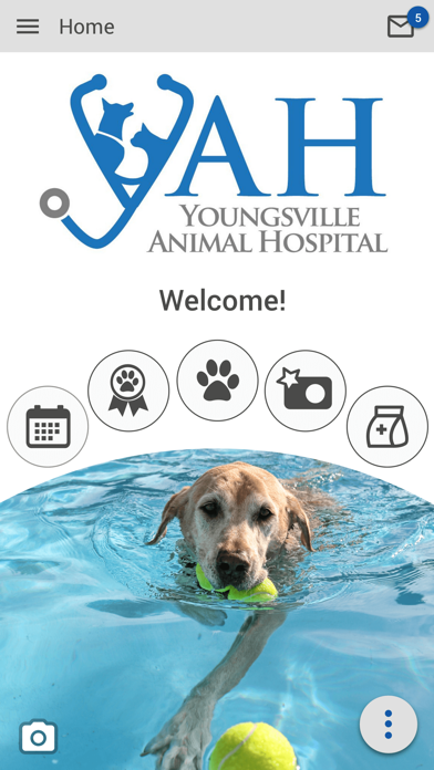 Youngsville AH Screenshot