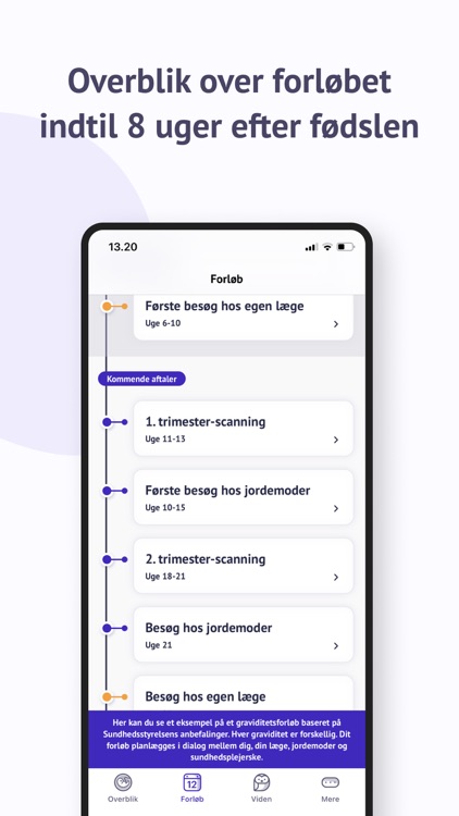 Min Graviditet Sundhedsvæsenet screenshot-4