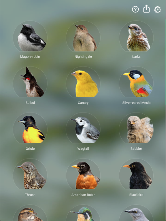 Screenshot #4 pour Sons d'oiseaux: Bird Sounds