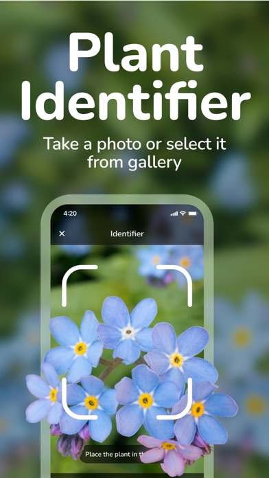 Plant ID - Flower Identifier Screenshot