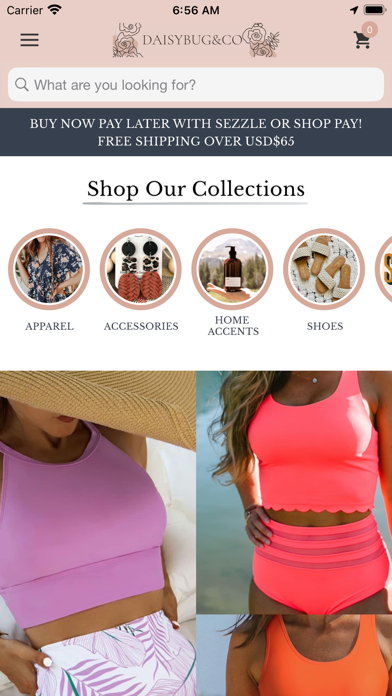 DaisyBugCo Boutique Screenshot