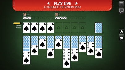 Spider Solitaire Palace Screenshot