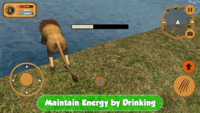 Screenshot #3 pour Wild Lion Simulator Attack 3D