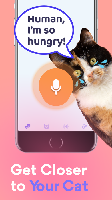 Meow Translator: Human & Cat Screenshot