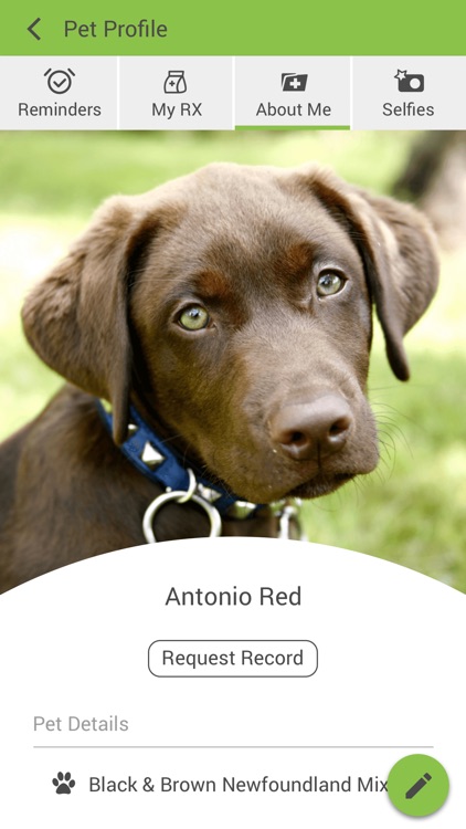 Dogwood Animal Hospital