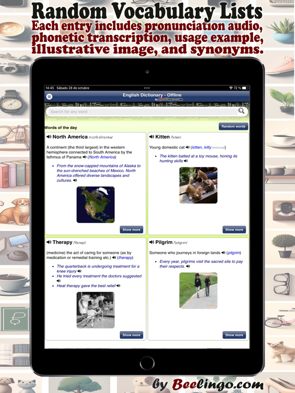 Screenshot #5 pour English Dictionary - Offline