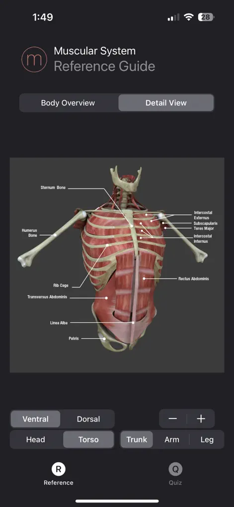 Muscle Study Guide - Medical App | MWM