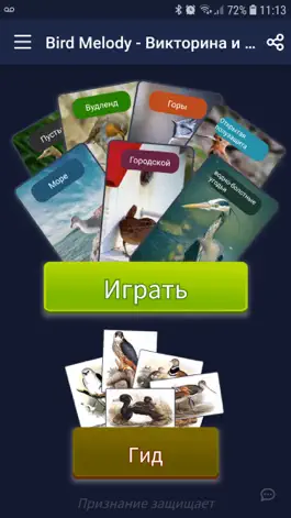Game screenshot Bird Melody - Птицы Европы mod apk