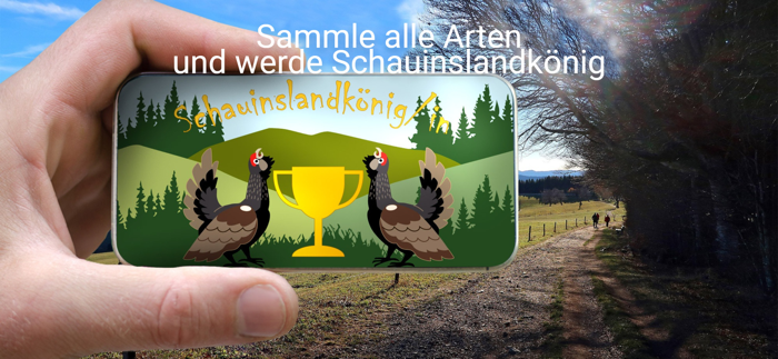 Schauinsland Barrierefrei