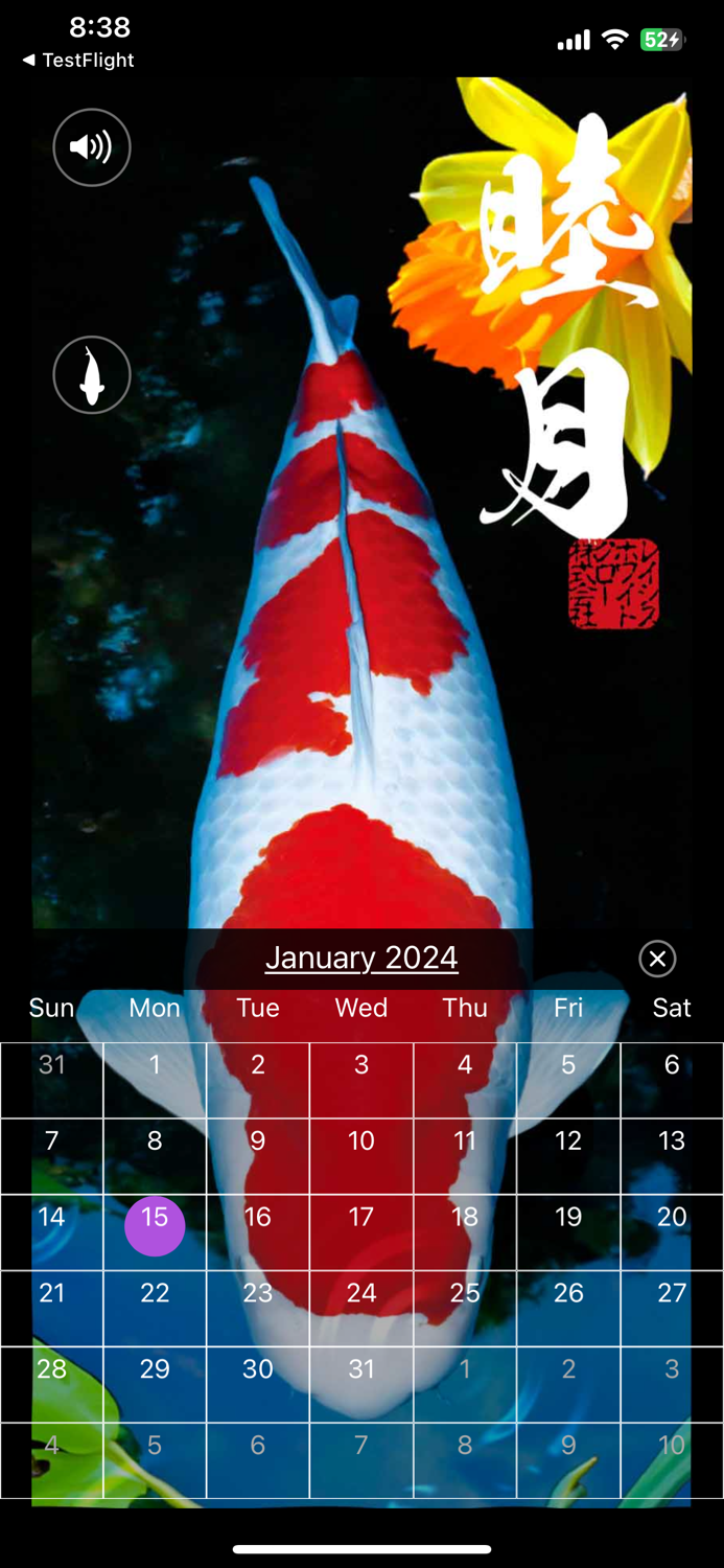 錦鯉四季暦　～にしきごいしきごよみ～