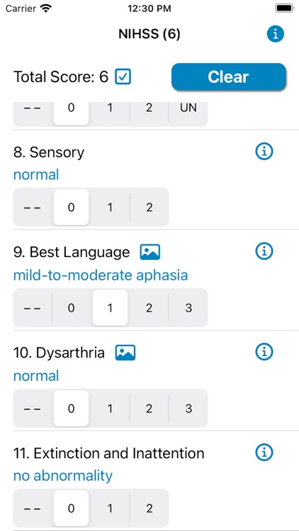 NIH Stroke Scale Calculator