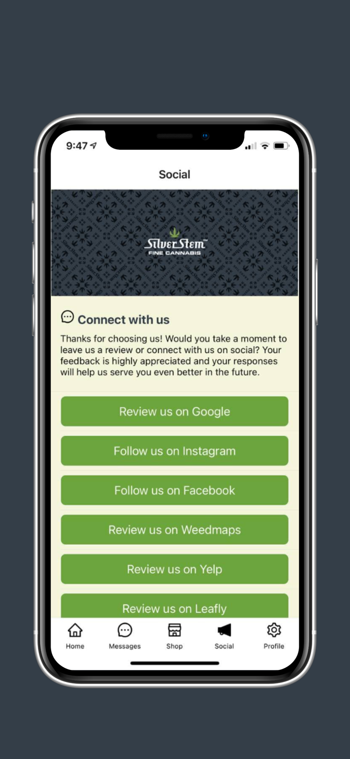 Silver Stem Fine Cannabis