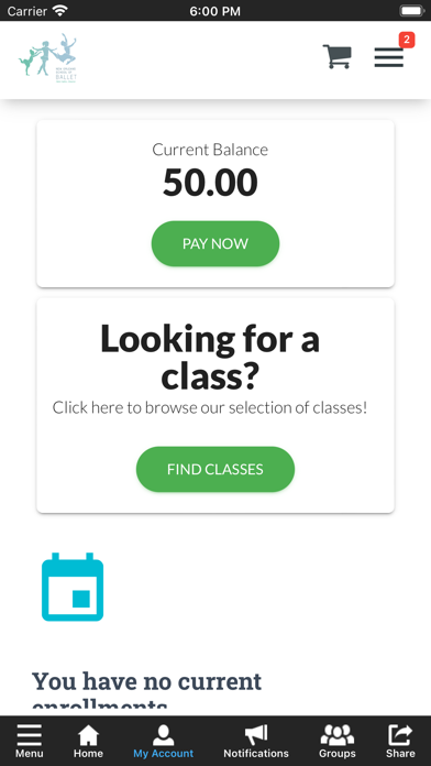 New Orleans School of Ballet Screenshot