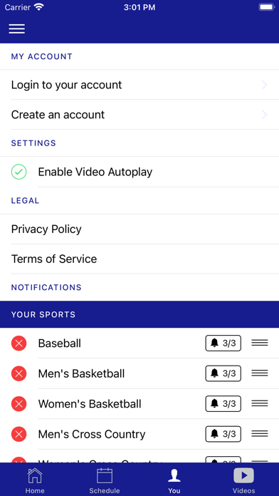 Marymount Saints Screenshot