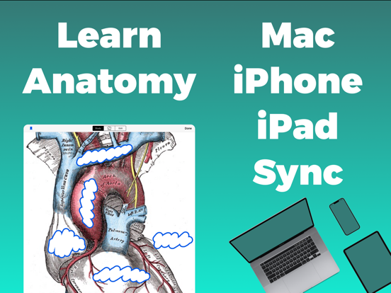 Screenshot #4 pour Anatomy and Physiology GO