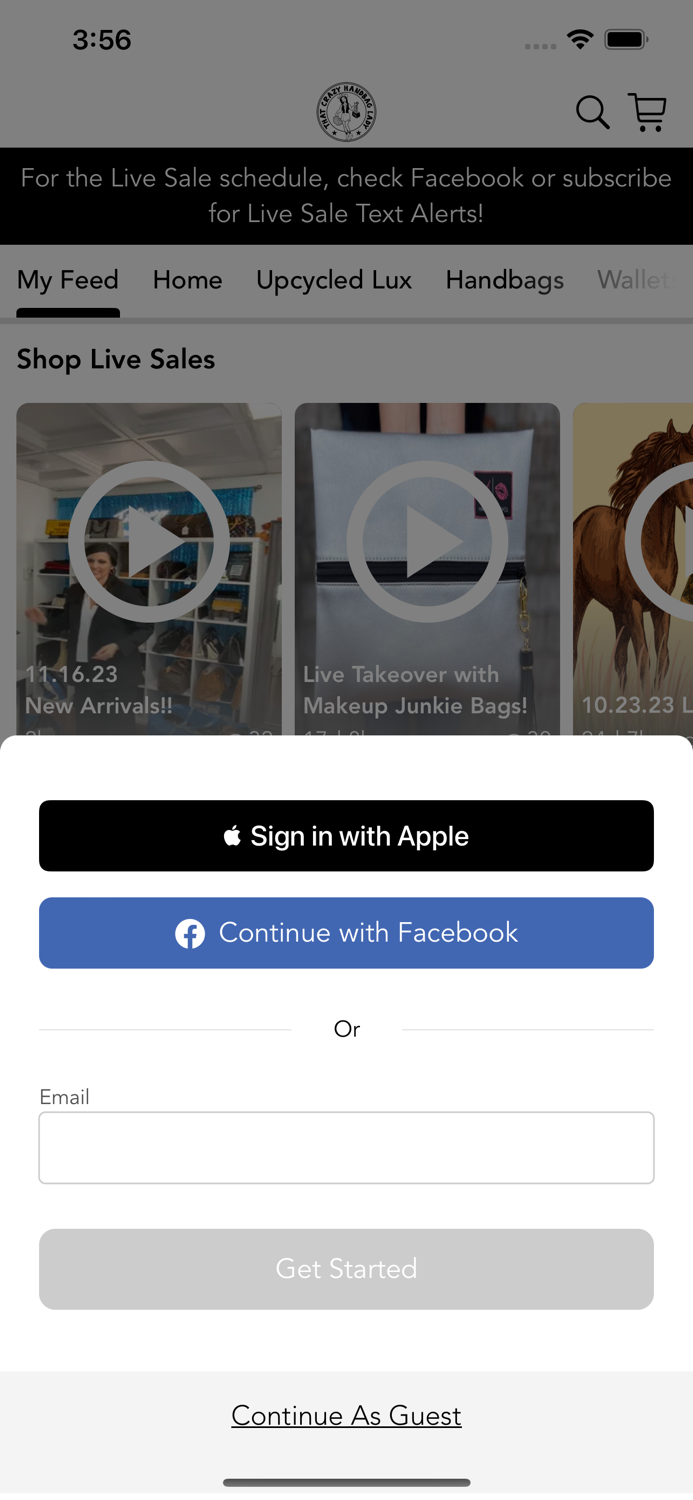 That Crazy Handbag Lady