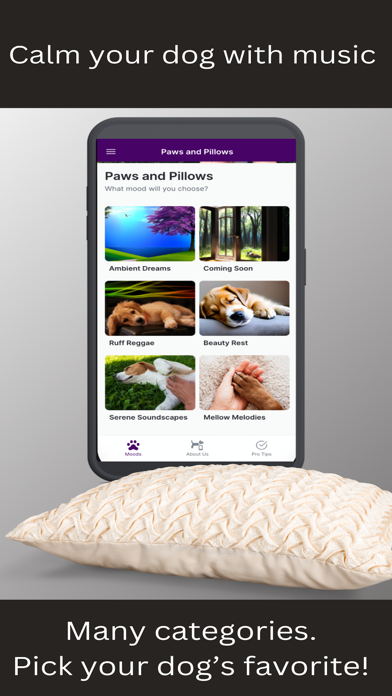 PawZen Screenshot