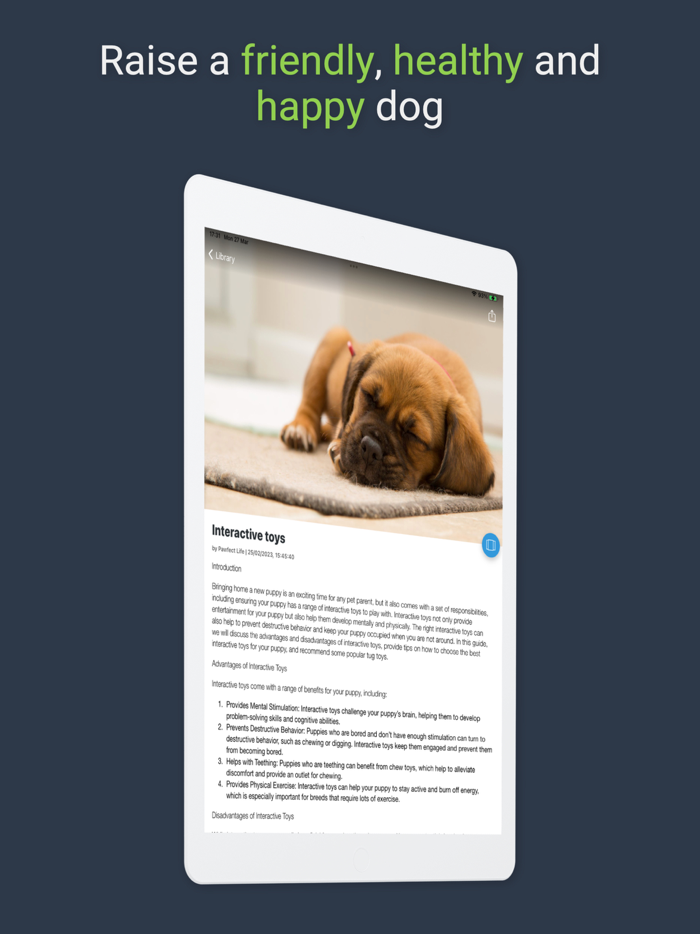 Pawfect Life - Puppy Training